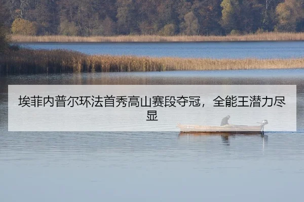 ai-fei-nei-pu-er-huan-fa-shou-xiu-gao-shan-sai-duan-duo-guan-quan-neng-wang-qian-li-jin-xian-2-816.jpg
