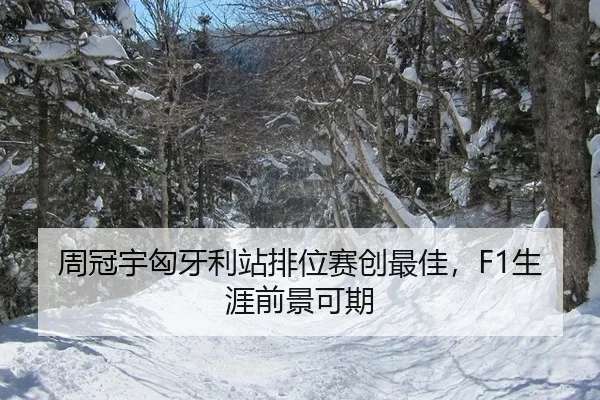 周冠宇匈牙利站排位赛创最佳，F1生涯前景可期